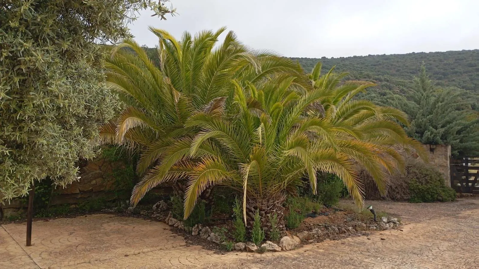 Casas Rurales Cortijo La Canada Estepa Espagne
